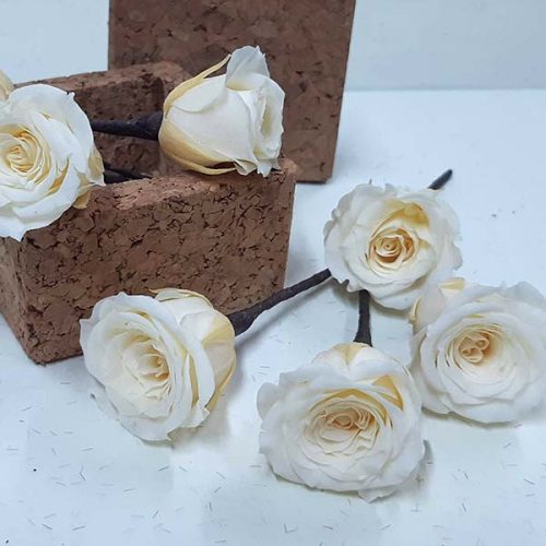 Pin de Rosas Champagne